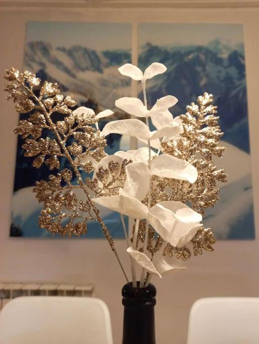 Bel Appartement Familial Et Cosy Saint-Gervais-les-Bains Zewnętrze zdjęcie